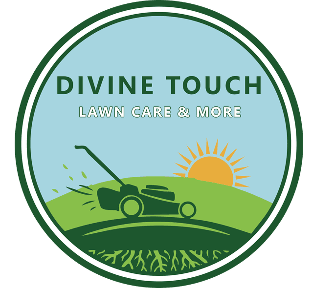 Divine Touch Logo